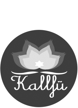 logo kallfu